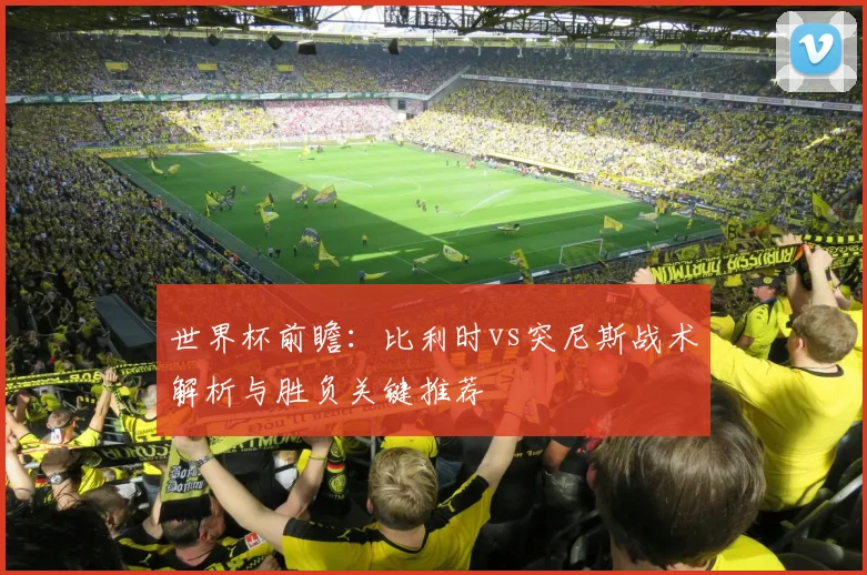 世界杯前瞻：比利时vs突尼斯战术解析与胜负关键推荐