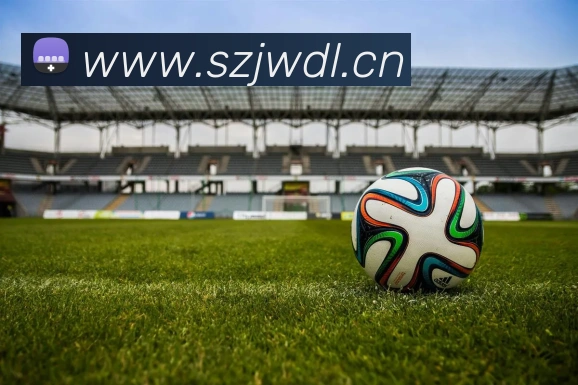 App Interface Preview