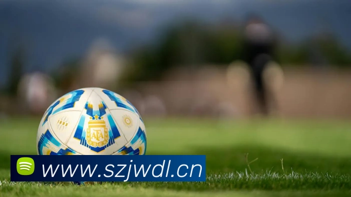 九游官方登录入口APP 封面图